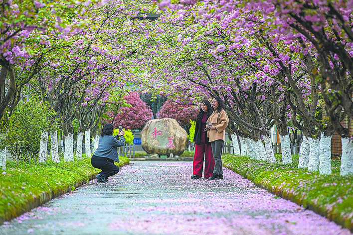 b4da852f-592d-4f4b-8988-155742c30b2c